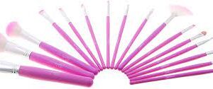 Technic Fabulous Brush Set