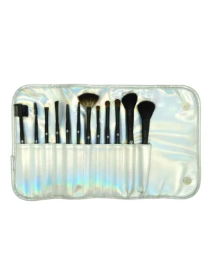 PRO Professional 12 Piece Brush Collection 2