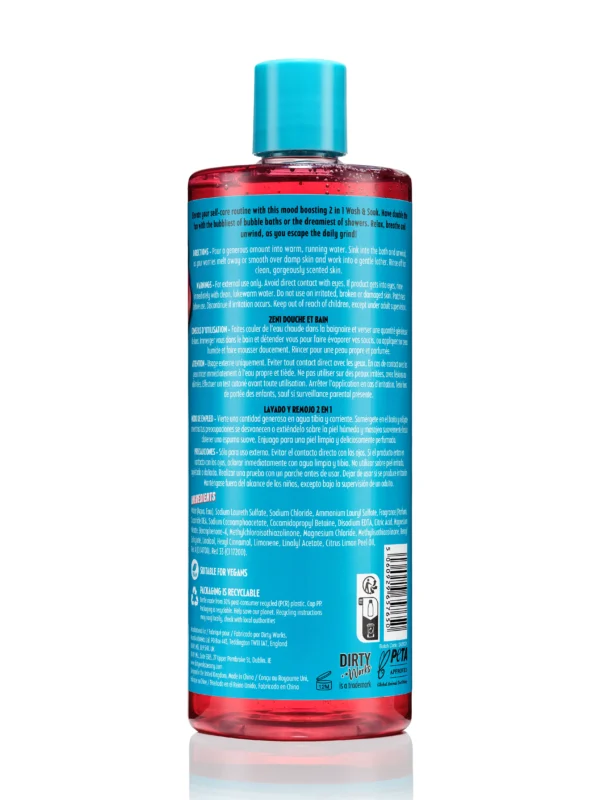 Dirty Works Bubble Standards 2in1 Wash & Soak 750ml